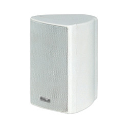 Speaker - 10Wt wall