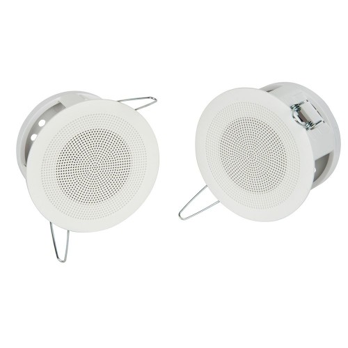 Speaker - 6Wt - 4 inch - Ceiling Spot